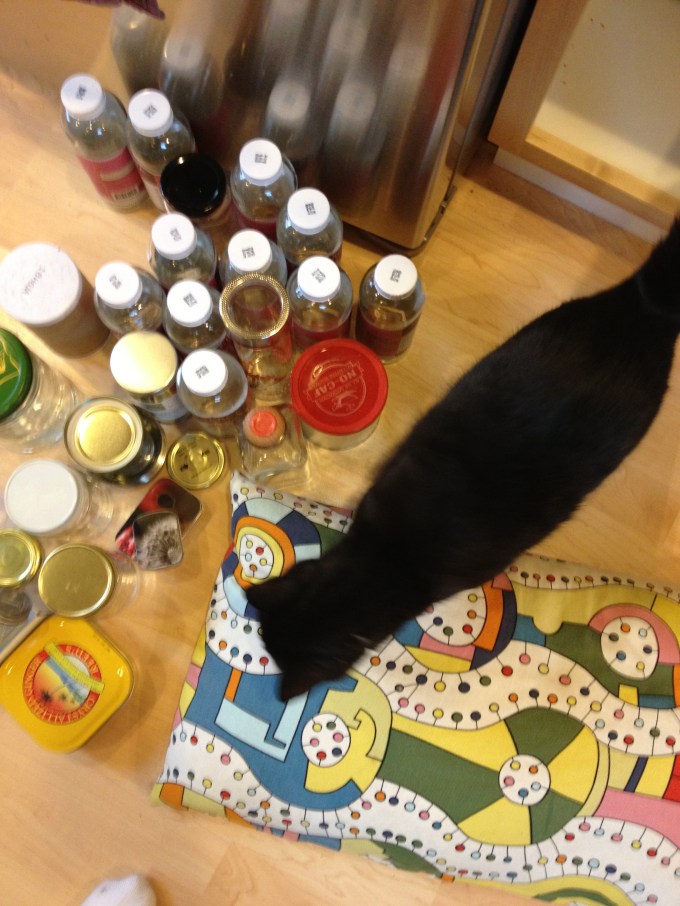 Karma comes to check out the items as I clean