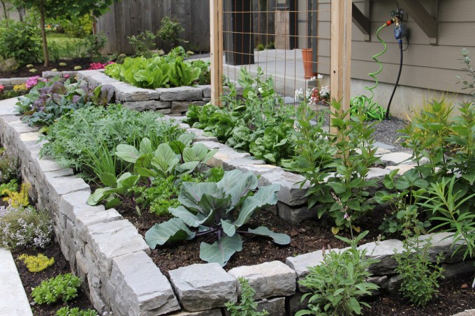 Here's my Garden in 2011