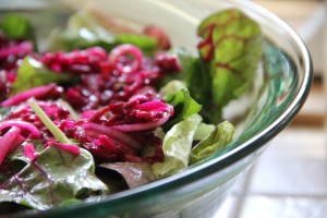 Barbara's beautiful salad, Hood River