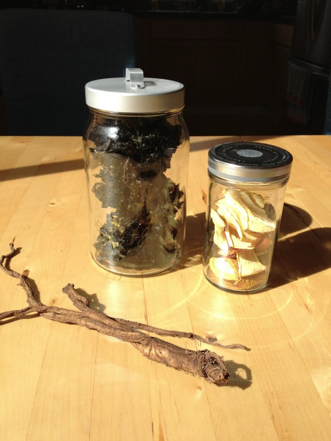 Dehydrated kale chips, apple and dandelion root
