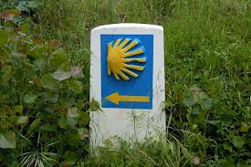 Camino Shell for Wayfinding