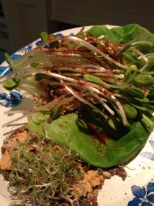 Raw Tacos with 3 Sprout Mix and Sunflower Sprouts
