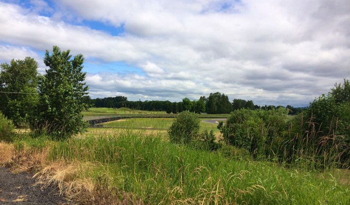 What Do You Get a Minimalist as a&nbsp;Gift?