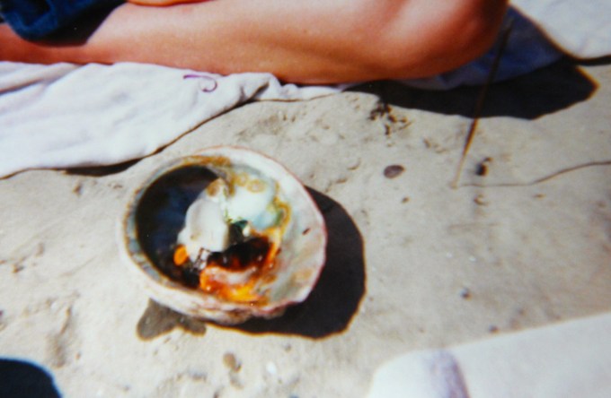 IMG_0262 - Version 2