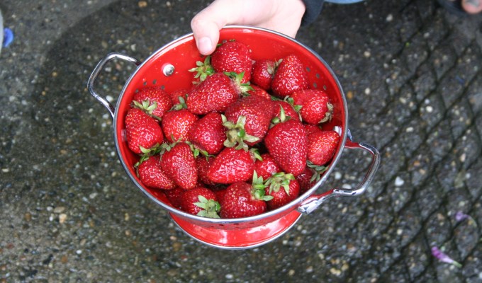 Washed Strawberries